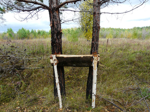 солонец