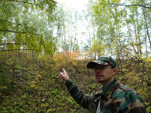 кратер в лесу
